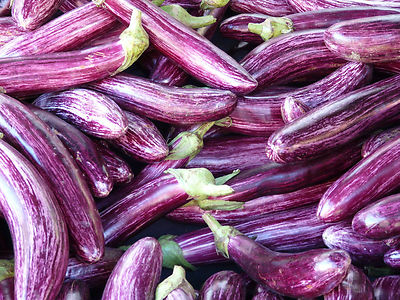 🍆 20 Samen Violett gestreifte Aubergine Tsakoniki Eierpflanze Solanum melongena