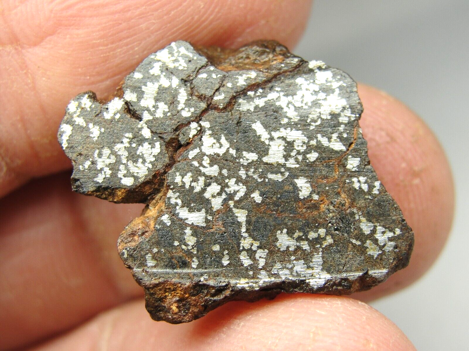 NWA 8291 Achondrite Mesosiderite Meteorite - G509-0002 NWA 8291 Achondrite Mesosiderite Meteorite - G509-0002