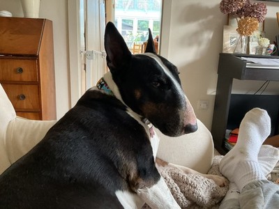 Artikelfoto(s) von einem verifizierten Käufer