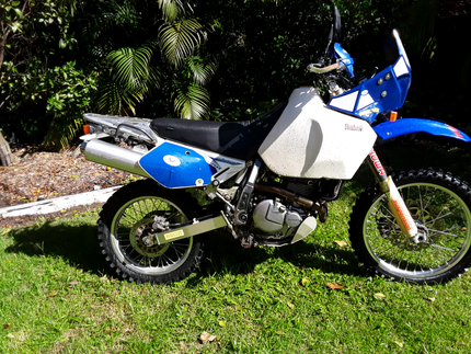 gumtree dr650