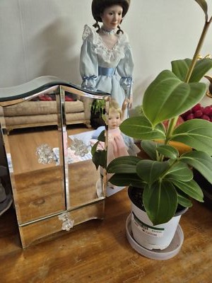 Foto dell'oggetto di un acquirente verificato