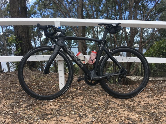 gumtree pinarello