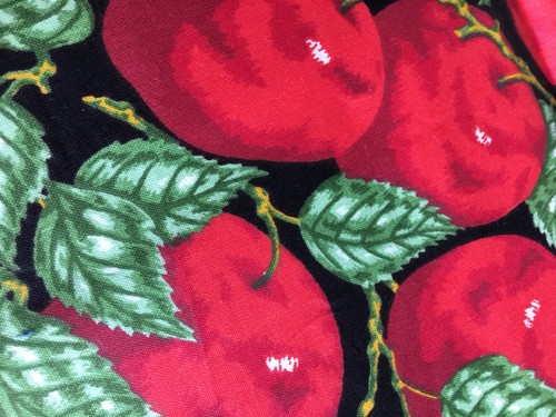 Fabric Quilt Red APPLE Fruit Teacher School Small SCRAP 10 X 19 inch 1990’s