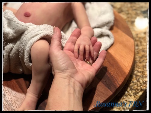 OOAK Full Body Mishka Silicone Reborn Baby Sculpt By Elena Westbrook