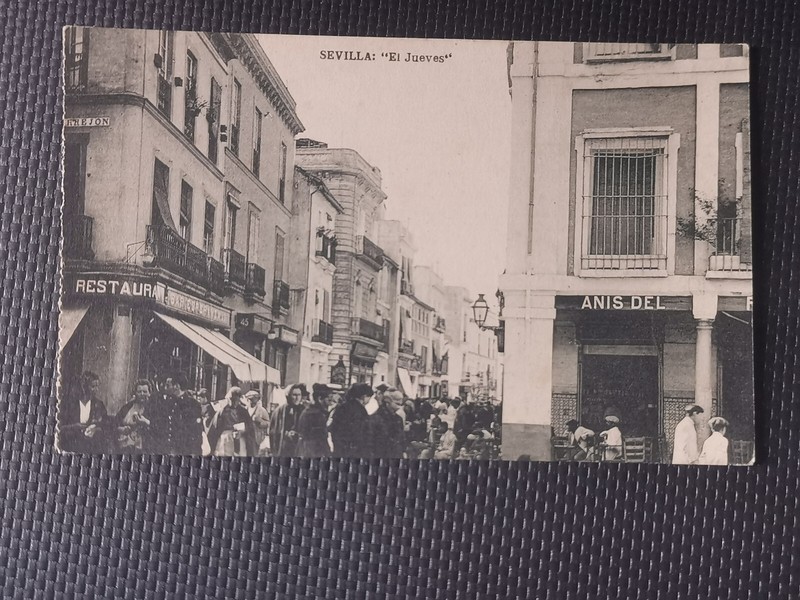 Cpa Sevilla - El Jueves