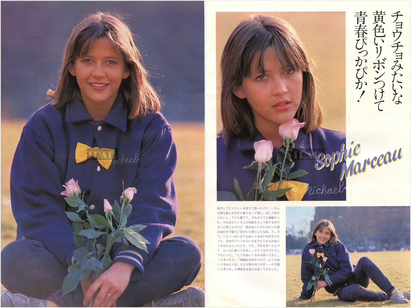 Sophie Marceau 映画DVD20本セット　⚠️バラ売り不可⚠️ Sophie Marceau 映画DVD20本セット⚠️バラ売り不可⚠️