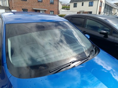 Fotos del artículo de un comprador verificado