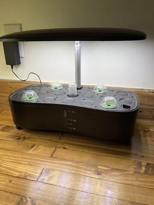 Foto dell'oggetto di un acquirente verificato