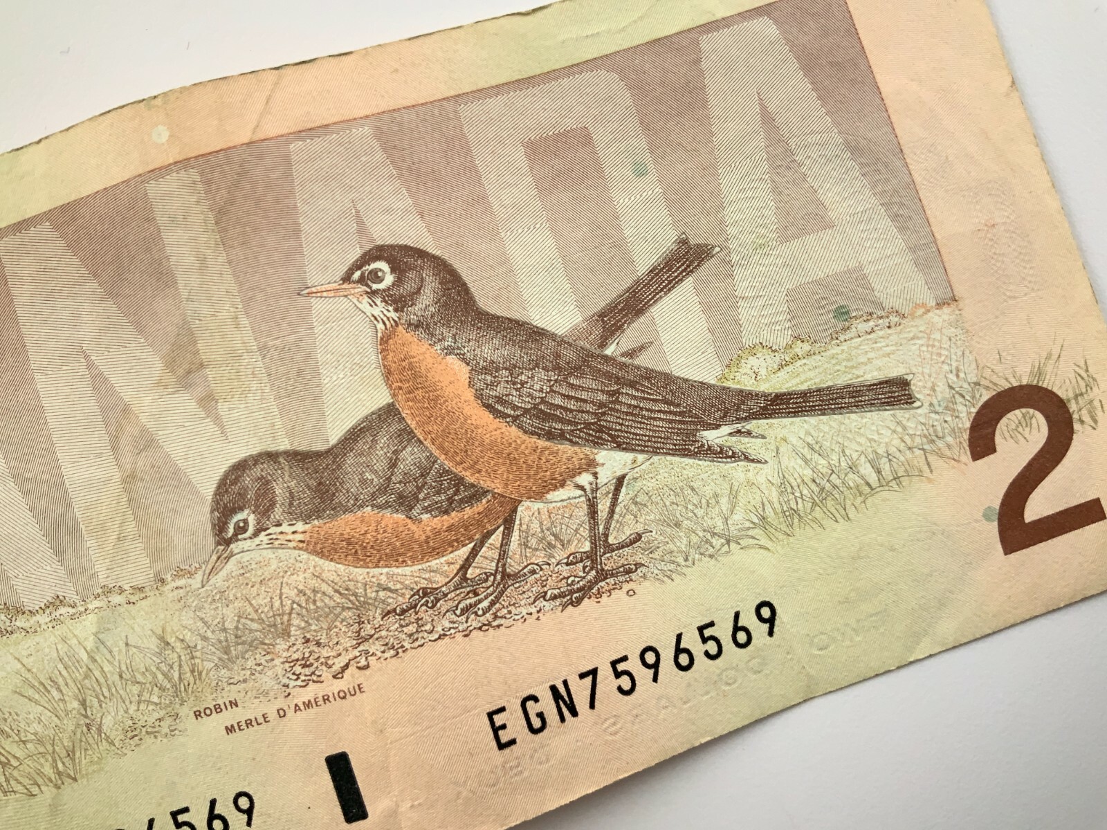 minERIN CONSIDINE エリンコンシダイン plage 1986 Canada 2 Dollars Circulated Banknote EGN Prefix