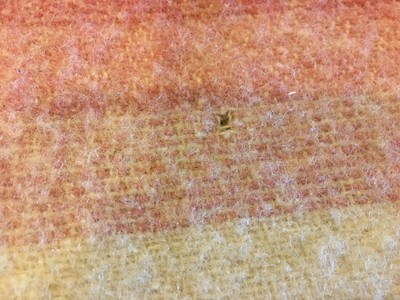 Vintage Wool Pink Stripe Blanket 58 x 81