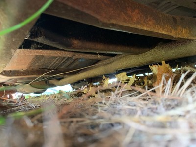 image 6 of engine