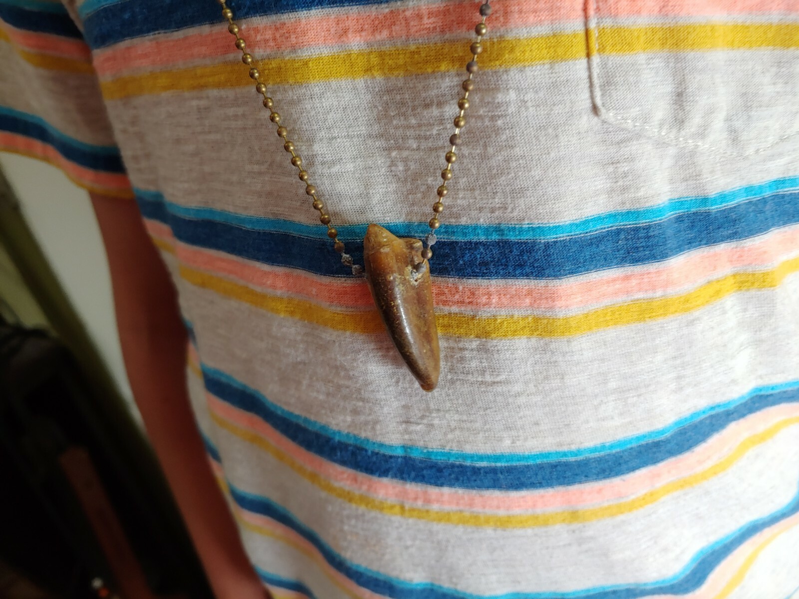 Alligator jewelry necklace 1" to 2"  nails real gator toe necklace weird