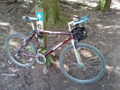 Retro 1995 Scott Summit mountain bike with Tioga,Onza,Ritchey. Old school bike