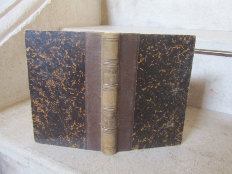 Zurcher Et Margolle- Volcans Et Tremblements De Terre, 61 Vignettes De Riou