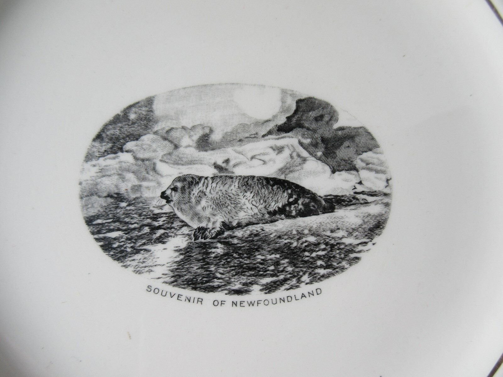Old Vintage Royal Winton Grimwades Souvenir of Newfoundland Plate Seal on Ice