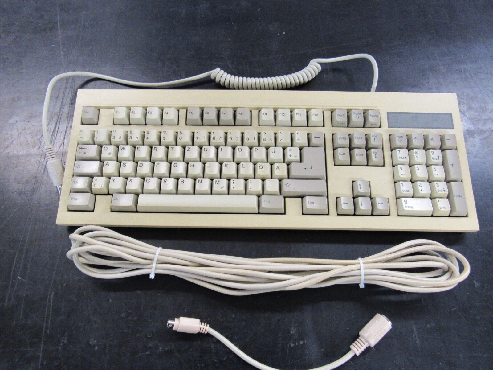 Vintage ZEOS NTC KB-6251/2 Clicky Keyboard AT PS/2 5 pin & 6 Vintage ZEOS NTC KB-6251/2 Clicky Keyboard AT PS/2 5 pin & 6