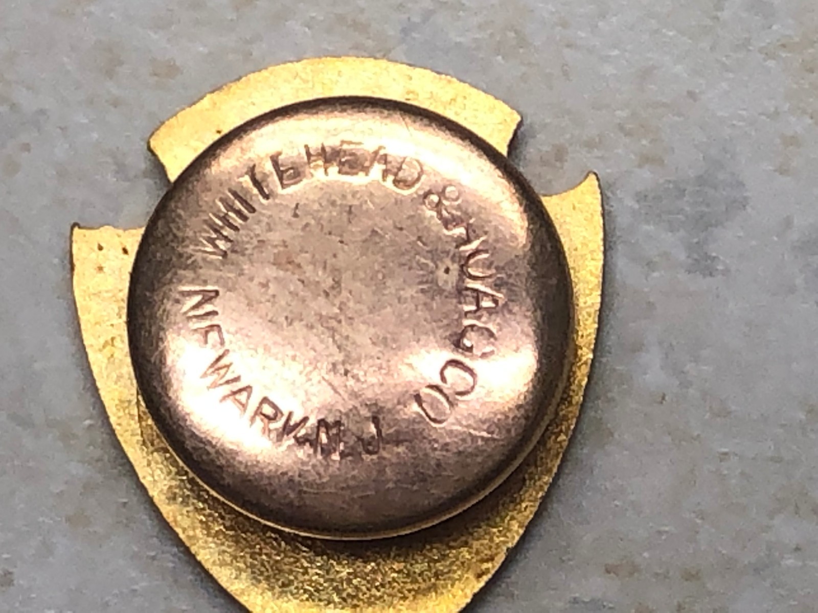 1934 Veterinary Congress New York Intl Screw Back Lapel Pin