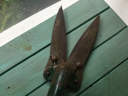 Vintage Metal Primitive Garden Clippers, Shears, Green Patina