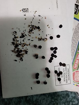 经认证买家提供的物品图片