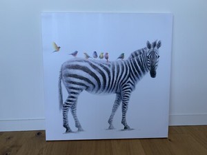 Zebra canvas print 80x80cm | Art | Gumtree Australia Stonnington Area