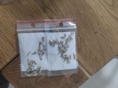 Artikelfoto(s) von einem verifizierten Käufer