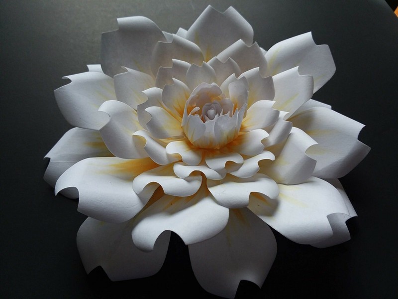 Paper Flower Wedding Shower DIY Wall Decor Backdrop Rose Party
