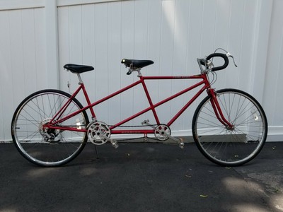 schwinn duosport tandem