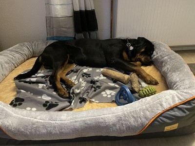 Artikelfoto(s) von einem verifizierten Käufer