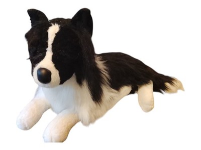 Border Collie Plüsch  40cm  Buy Best