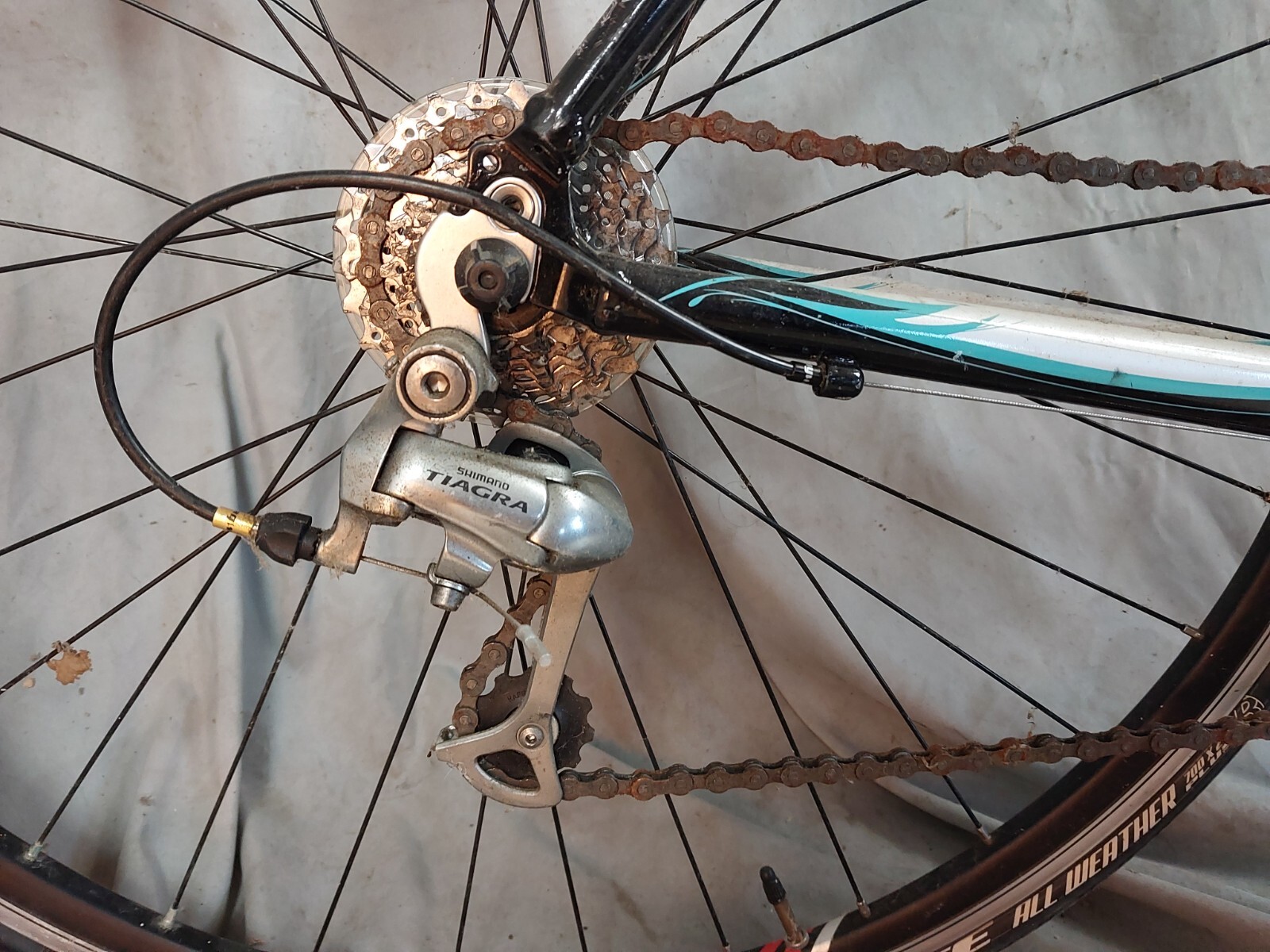 2015 Trek Pilot 1.2 WSD Road Bike Small 54cm FSA Shimano Tiagra Sora USA Shipper