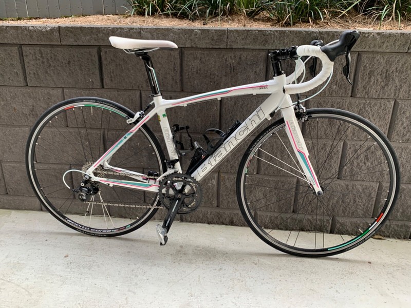 bianchi gumtree