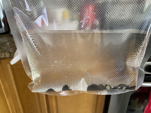 Five Live Freshwater Clams: Perfect For Aquariums And Ponds