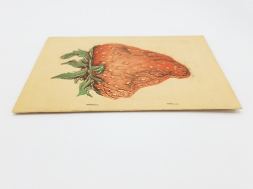 Strawberry Funnies #1 Wild Roach Tom Foster Underground Comic Comix 1972 Rare