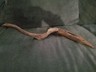 LOOSE NATURAL DRIFTWOOD ROOT 20