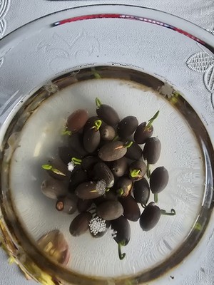 Objectfoto('s) van geverifieerde koper