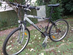 schwinn ranger 3.0