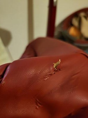 Artikelfoto(s) von einem verifizierten Käufer