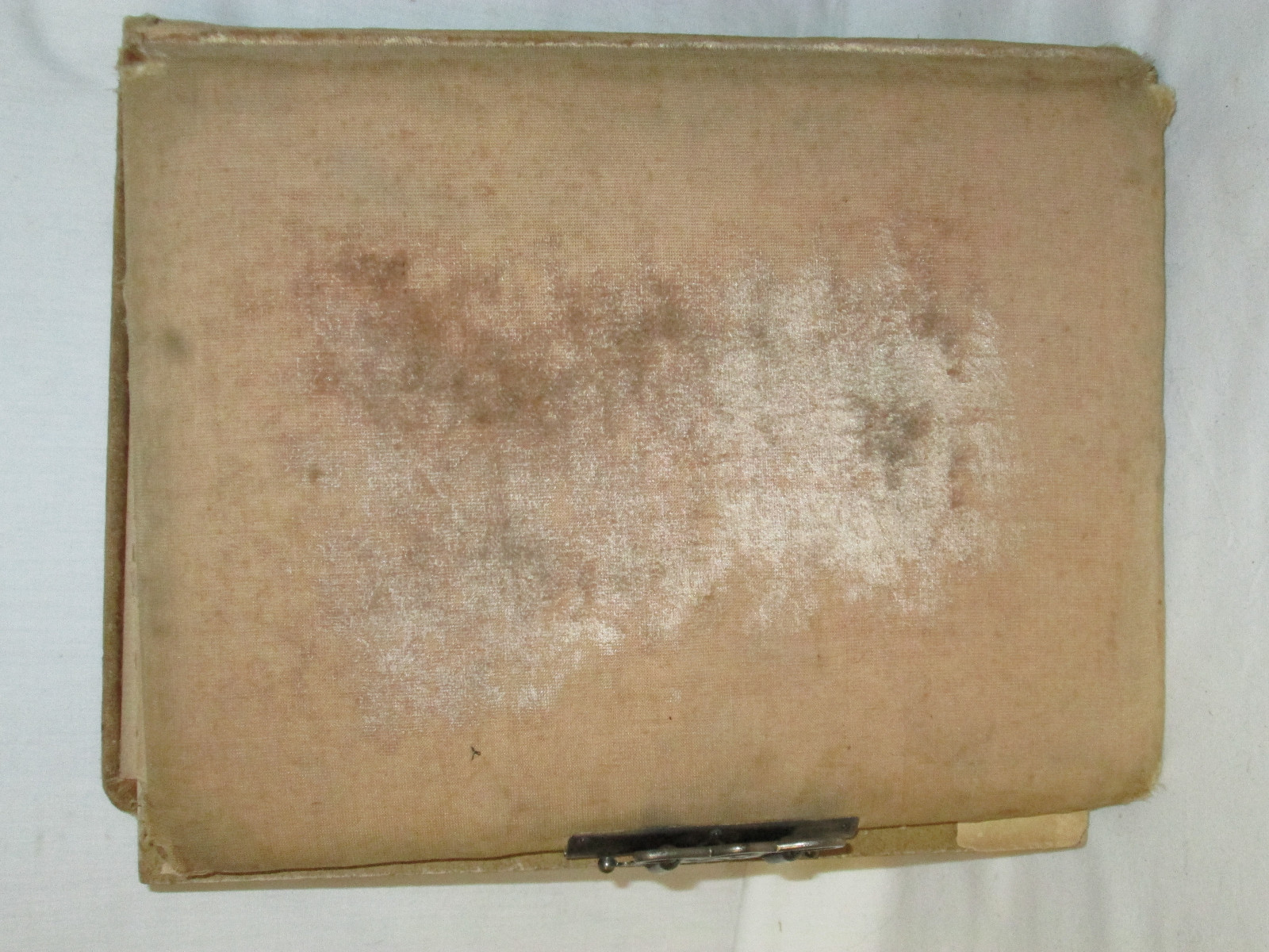 Antique Victorian  Photo Album Velvet Cabinet Card Frame 20 photos Amherst ohio