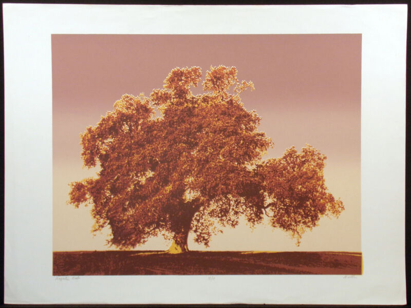 Scott Nellis "majestic Oak" Signed Numbered Serigraph Fine Art Print, Tree, Obo!