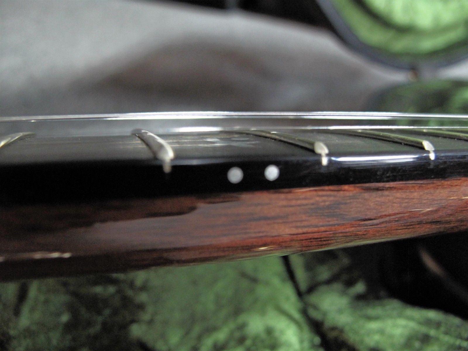 Deering Deluxe 5 String Banjo