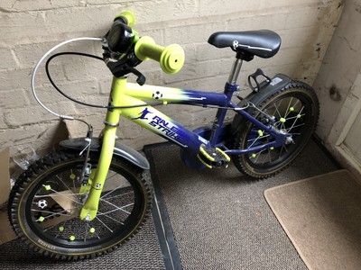 Raleigh Striker Childs Bike 14 Inch Wheels
