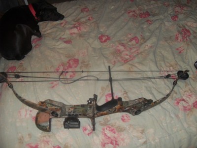 Bowhunting Golden Eagle