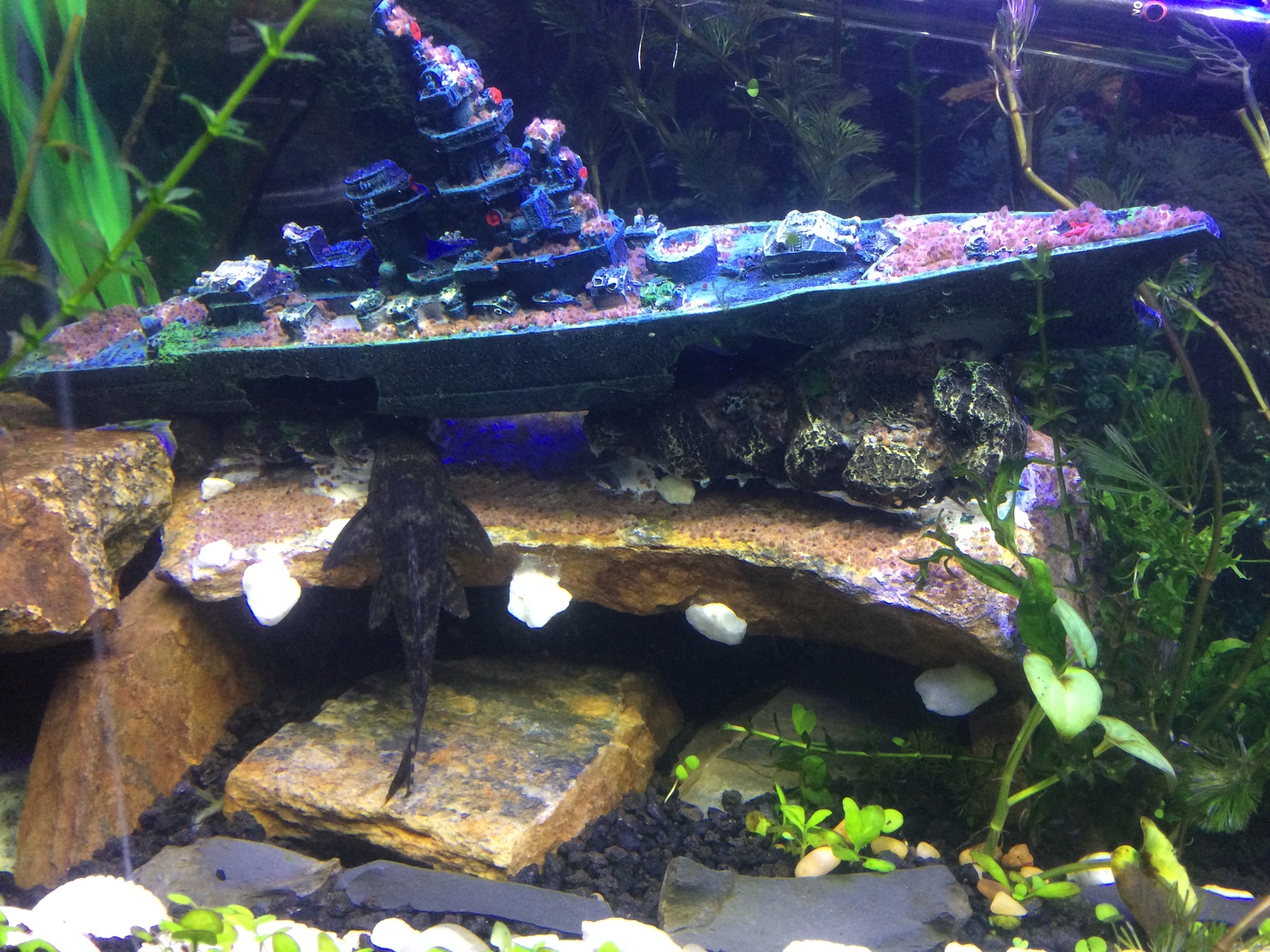 Aquarium Fish Tank Sunken Battleship Ship Wreck Fresh Salt Water Tank Decor 30172048302 eBay