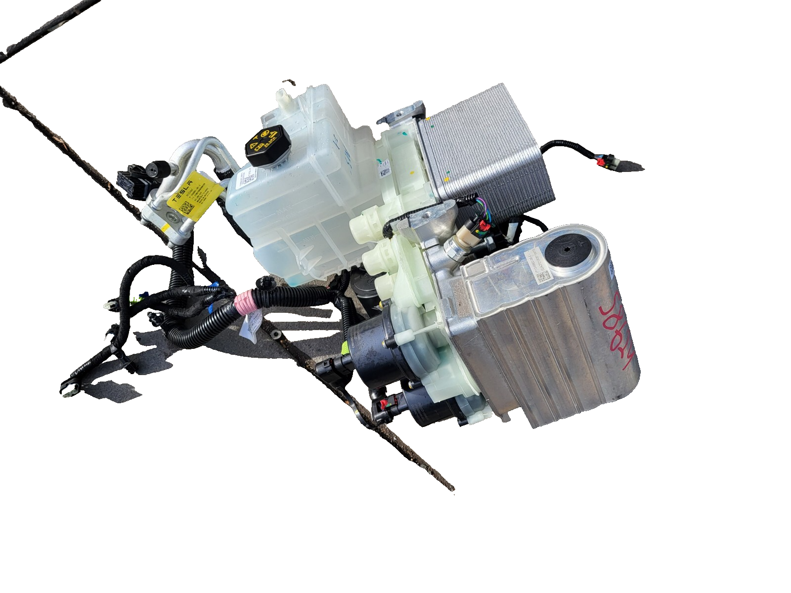 中古 90年代Ｖ系 Cellaid \"Suddenly Separated\" Amazon.com: Dasbecan Transmission Dual Linear Solenoid with
