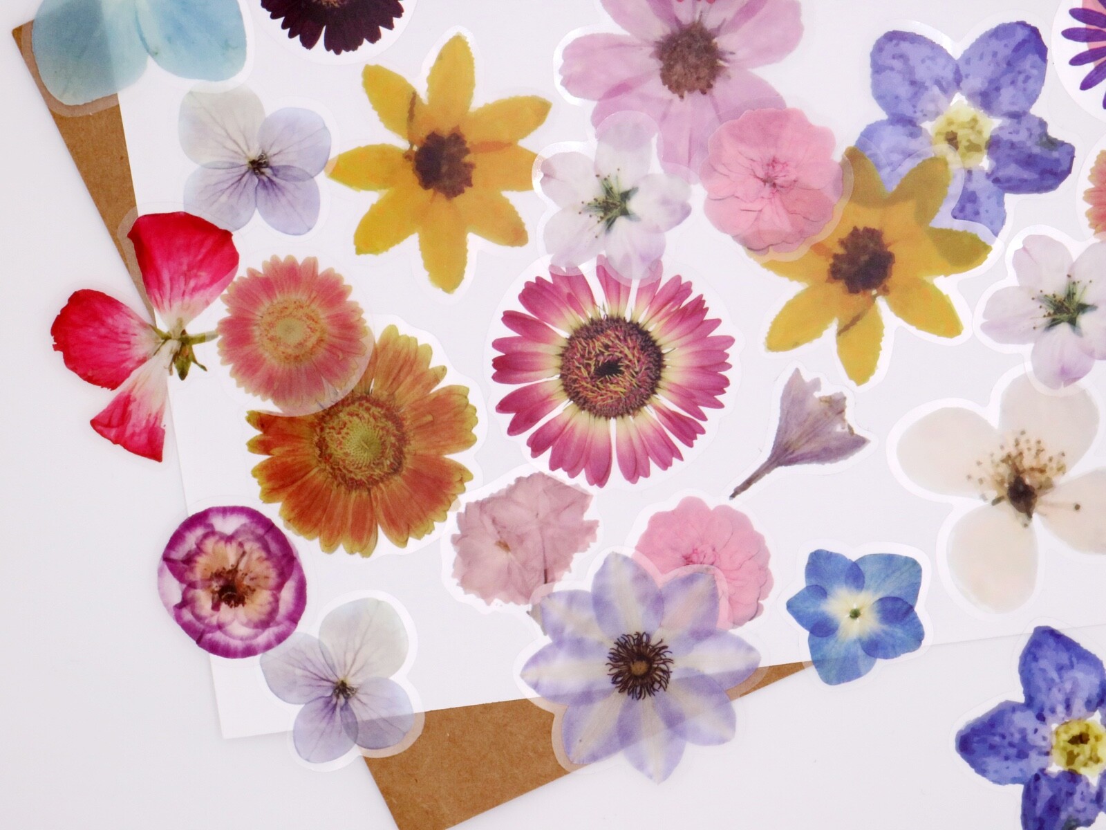 Pet flower stickers | 40pcs/pack flower petal botanical floral Specimen Dried