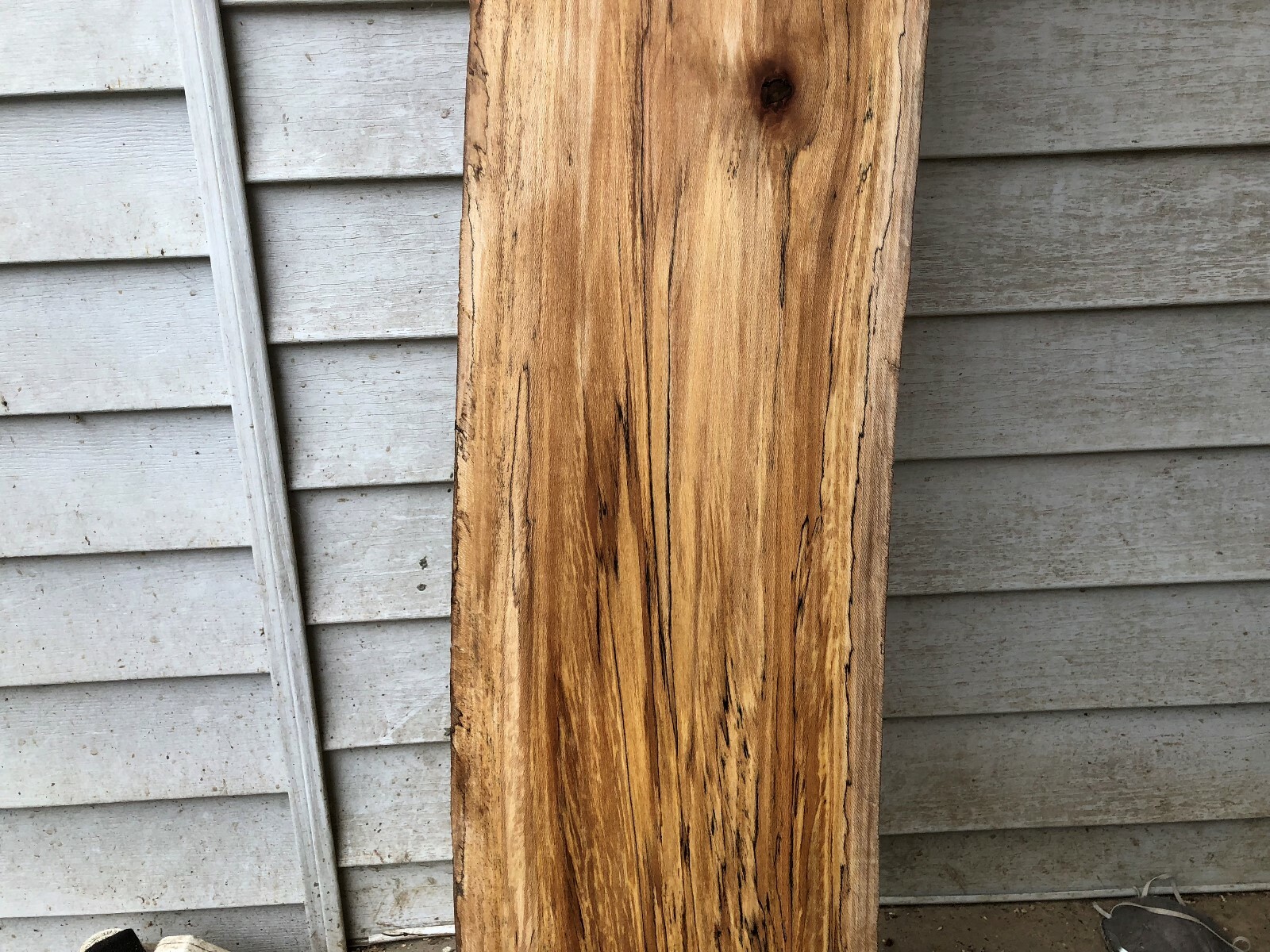 Spalted  Natural Edge  Sycamore slab
