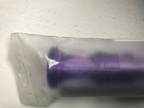 Lyons Recorder R49 Music Instrument With Cleaning Stick Transparet Purple