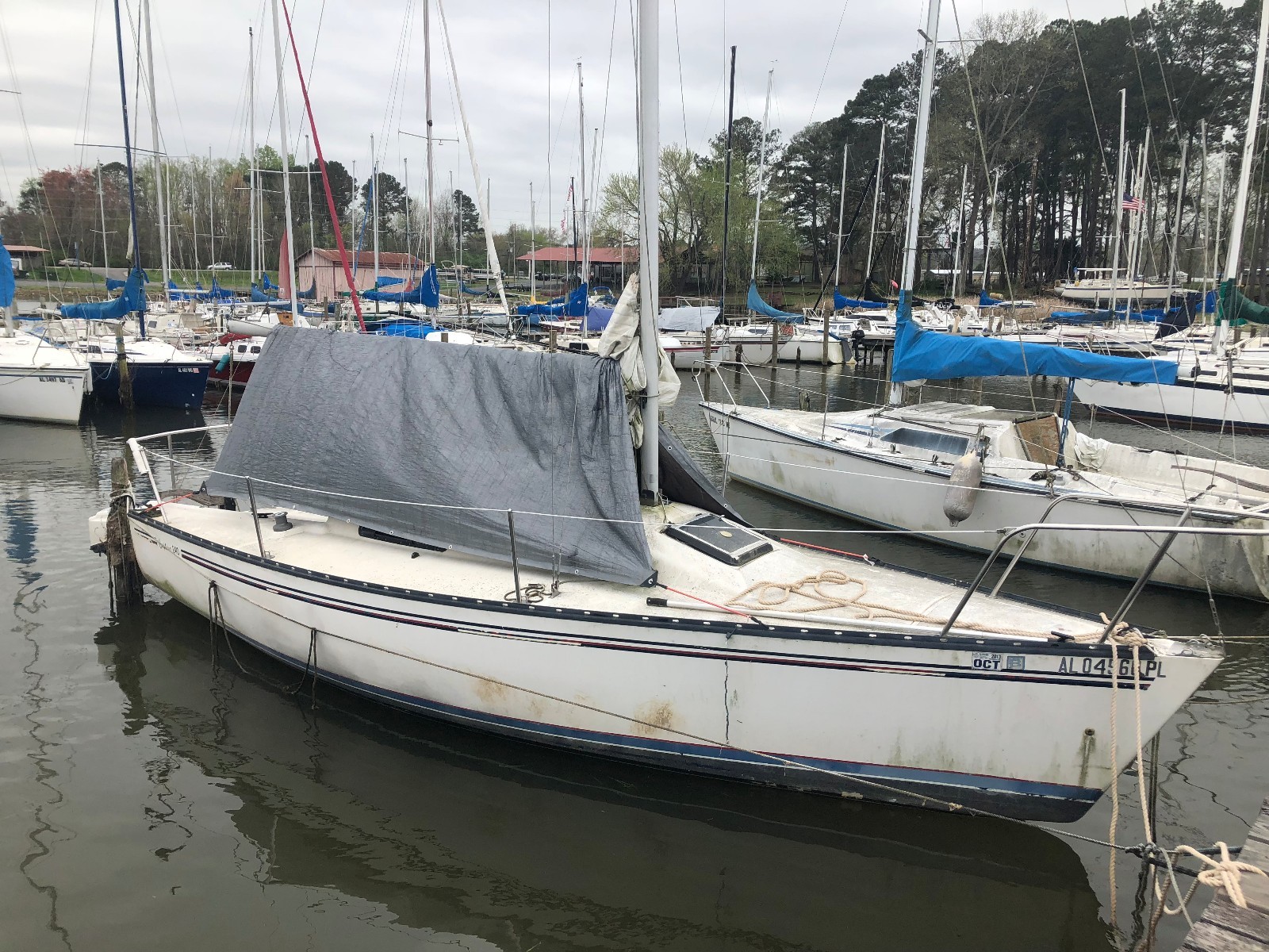 1987 Captiva 240 24' Sailboat - Alabama