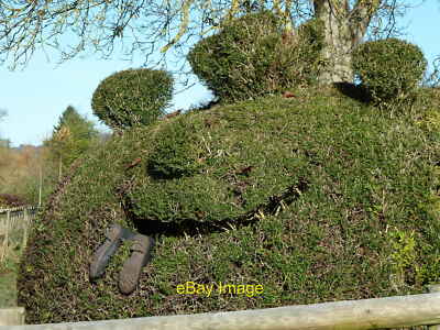 Hedge Monster An amusing topiary. Notice the ''victim's'' welling c2012
