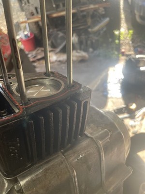 Fotos del artículo de un comprador verificado